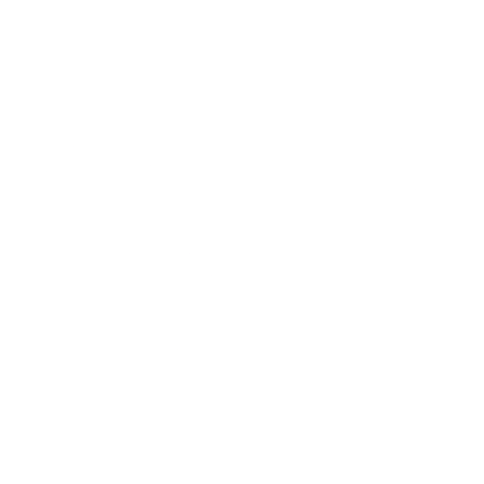 logo integrum consulting